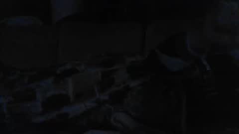 pallavolista73 online show from February 2026 11:41:01 PM