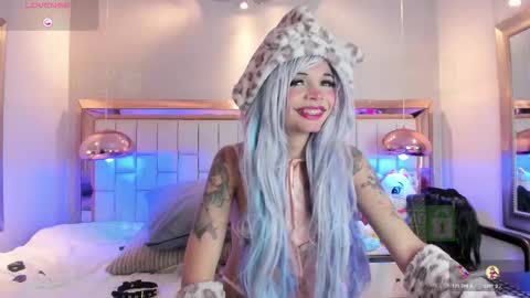 Palmer  online show from November 2025 02:24:02 PM