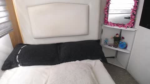 Snapshot of palmer_mix chatting on January 2025 07:49:01 PM Palmer online show from January 2025 07:49:01 PM