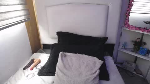 Snapshot of palmer_mix chatting on March 2025 07:17:01 PM Palmer online show from March 2025 07:17:01 PM