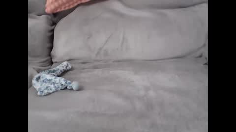 pal online show from February 2026 08:25:02 AM