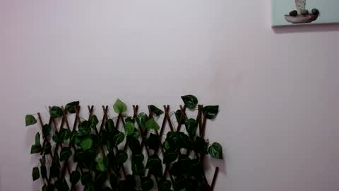 Pamela Claus online show from January 2025 12:18:01 AM