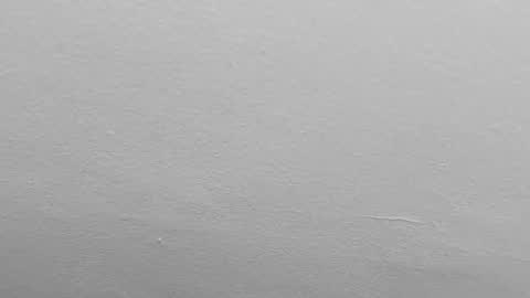 Pamela karim online show from February 2025 09:51:01 PM