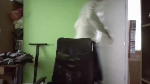 Snapshot of papitowilly999 chatting on March 2025 05:24:02 PM Papito online show from March 2025 05:24:02 PM