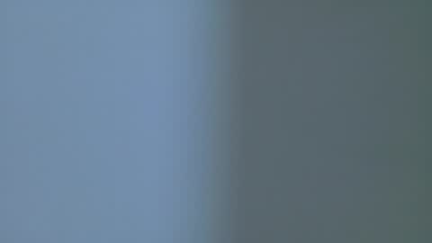 PARIS online show from February 2026 07:43:01 PM