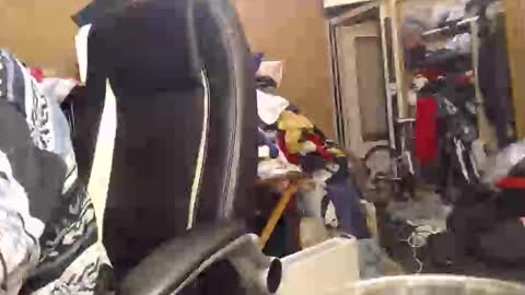 pascal88881 online show from December 2024 06:10:02 PM