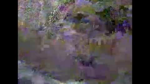 Snapshot of pascalo06 chatting on February 2026 12:32:01 PM anytimeuwant online show from February 2026 12:32:01 PM