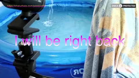 Dome Passiva697 online show from February 2026 01:42:02 PM