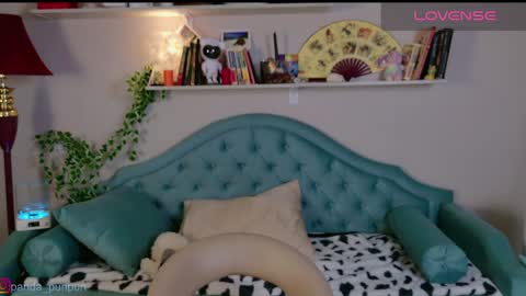  off - Tuesday and wednesdayfriday online show from December 2024 11:11:01 AM