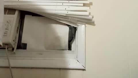 Snapshot of pato0008 chatting on December 2024 11:27:02 PM JD online show from December 2024 11:27:02 PM