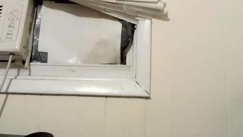 Snapshot of pato0008 chatting on December 2024 02:32:01 AM JD online show from December 2024 02:32:01 AM