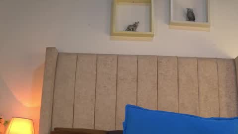 patty online show from March 2026 11:49:02 AM