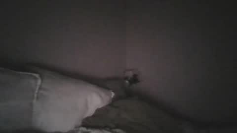 paul141293 online show from September 2025 06:43:02 PM