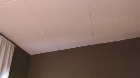 Paul online show from December 2025 01:31:01 PM