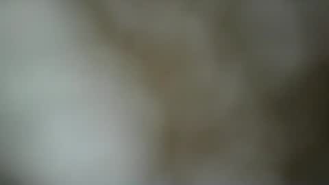 Snapshot of paulasmithph chatting on November 2025 06:46:02 PM paulasmithph online show from November 2025 06:46:02 PM