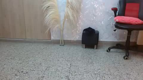 Paulina Rubio online show from December 2024 10:17:01 PM