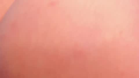 Estefania online show from February 2026 04:00:01 PM