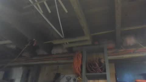 Snapshot of paulstetson chatting on December 2024 03:53:02 PM paulstetson online show from December 2024 03:53:02 PM