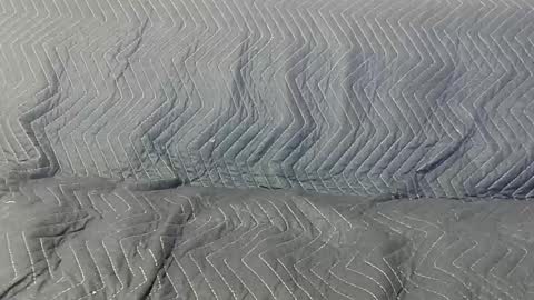 paupam online show from January 2025 07:31:01 PM