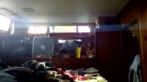 Snapshot of pavonesplash chatting on January 2026 08:21:02 PM Pavone splash online show from January 2026 08:21:02 PM