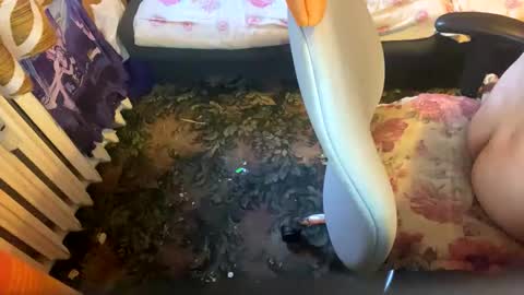 pawelmajster3 online show from October 2025 03:35:02 PM