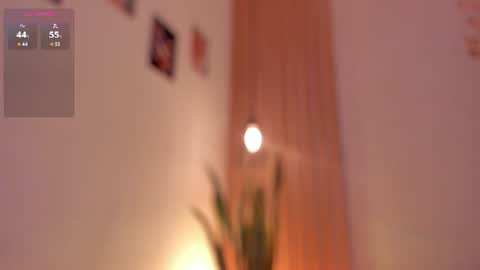 Snapshot of pawggirl18 chatting on June 2026 01:48:02 PM Dani online show from June 2026 01:48:02 PM