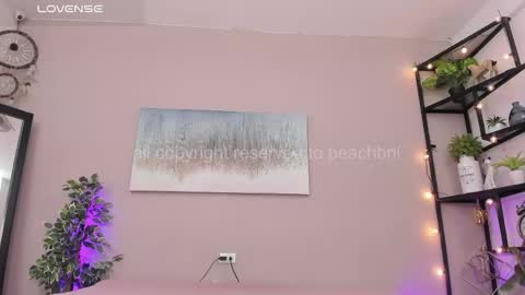 Snapshot of peachbrii chatting on May 2026 12:46:01 PM Briana online show from May 2026 12:46:01 PM