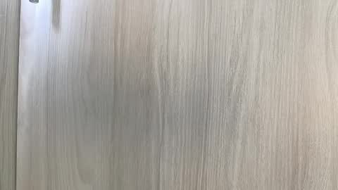 pecsblack888 online show from December 2025 07:44:01 PM