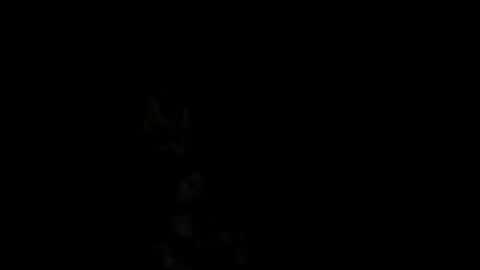 Alex online show from February 2025 01:00:02 PM