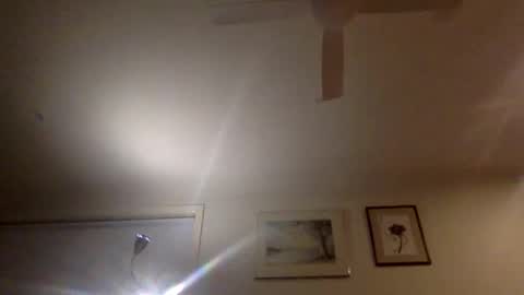 pedro________8 online show from December 2024 10:55:02 AM