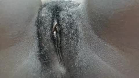 pennyna1 online show from October 2025 11:35:02 PM