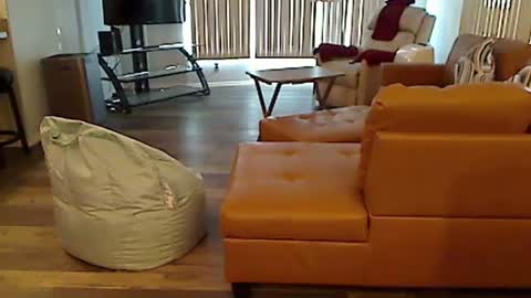 Snapshot of perfecto1957 chatting on December 2024 07:10:01 PM perfecto1957 online show from December 2024 07:10:01 PM