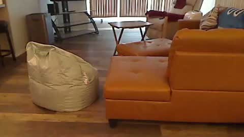 Snapshot of perfecto1957 chatting on January 2025 04:48:02 PM perfecto1957 online show from January 2025 04:48:02 PM