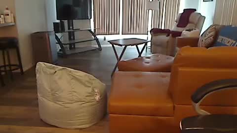 Snapshot of perfecto1957 chatting on February 2025 04:39:02 PM perfecto1957 online show from February 2025 04:39:02 PM