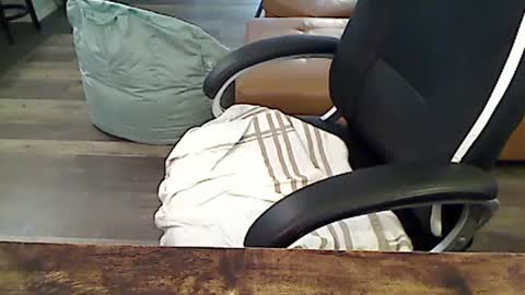 Snapshot of perfecto1957 chatting on February 2025 04:45:02 PM perfecto1957 online show from February 2025 04:45:02 PM