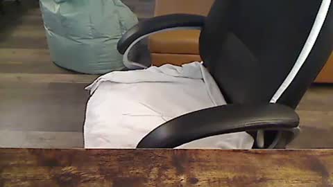 Snapshot of perfecto1957 chatting on September 2025 02:22:02 PM perfecto1957 online show from September 2025 02:22:02 PM