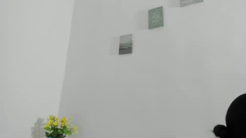 Perla mistc online show from April 2026 04:44:02 PM