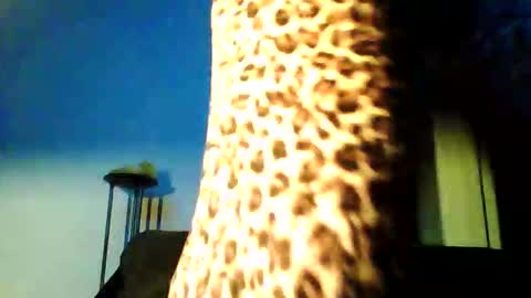 permageil_nackt_alt online show from February 2026 06:51:02 PM