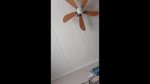 peter online show from February 2026 08:13:01 AM