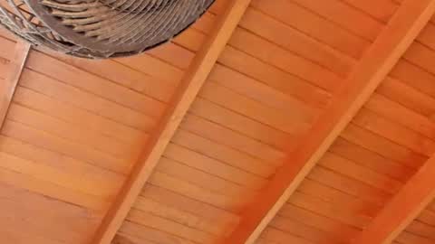 Snapshot of peter_jackson1 chatting on December 2024 11:57:01 PM peter jackson1 online show from December 2024 11:57:01 PM