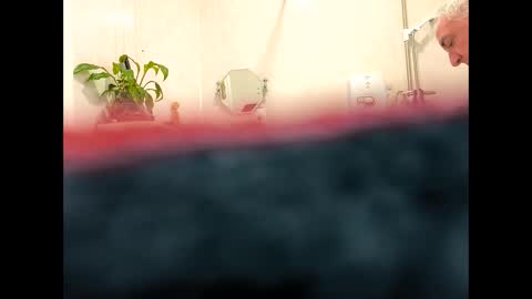 Snapshot of petrol63102 chatting on February 2026 09:38:01 AM petrol63102 online show from February 2026 09:38:01 AM