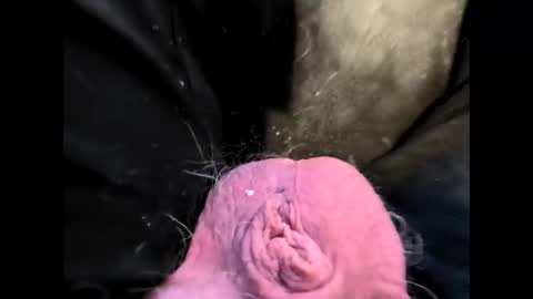 Snapshot of petrol63102 chatting on February 2026 01:22:02 PM petrol63102 online show from February 2026 01:22:02 PM