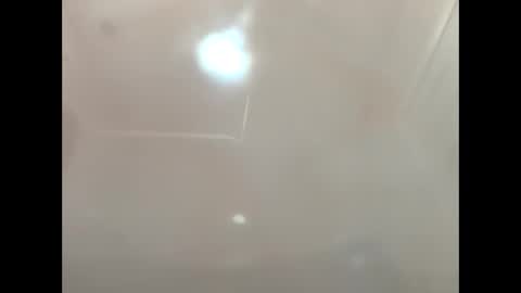 Snapshot of petrol63102 chatting on March 2026 09:48:01 AM petrol63102 online show from March 2026 09:48:01 AM