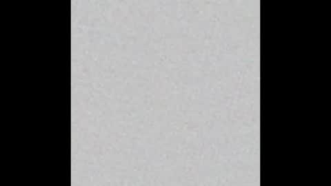 Snapshot of peytonn_monroe chatting on January 2026 12:53:02 PM peytonn_monroe online show from January 2026 12:53:02 PM