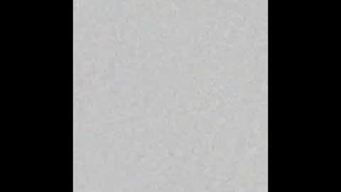 Snapshot of peytonn_monroe chatting on February 2026 07:17:02 PM peytonn_monroe online show from February 2026 07:17:02 PM