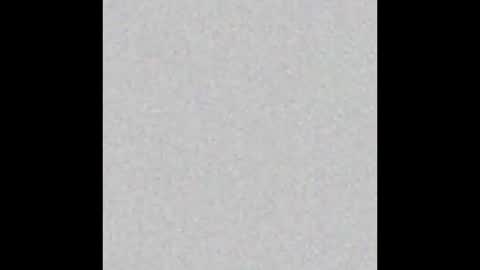 Snapshot of peytonn_monroe chatting on March 2026 06:48:01 PM peytonn_monroe online show from March 2026 06:48:01 PM