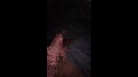 philllllll508346 online show from December 2025 05:47:02 AM