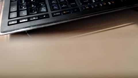 pier49x online show from February 2025 01:50:02 AM