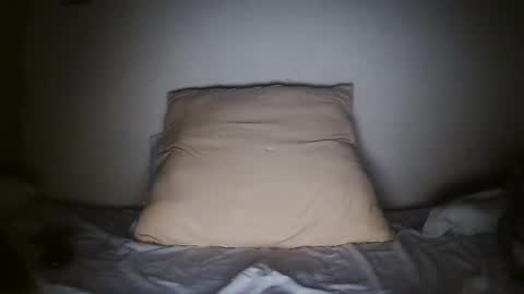 Snapshot of pieslatinos chatting on January 2025 04:14:02 AM pieslatinos online show from January 2025 04:14:02 AM