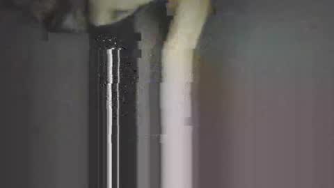 Snapshot of piggyes74 chatting on September 2025 10:44:02 PM piggyes 74 online show from September 2025 10:44:02 PM